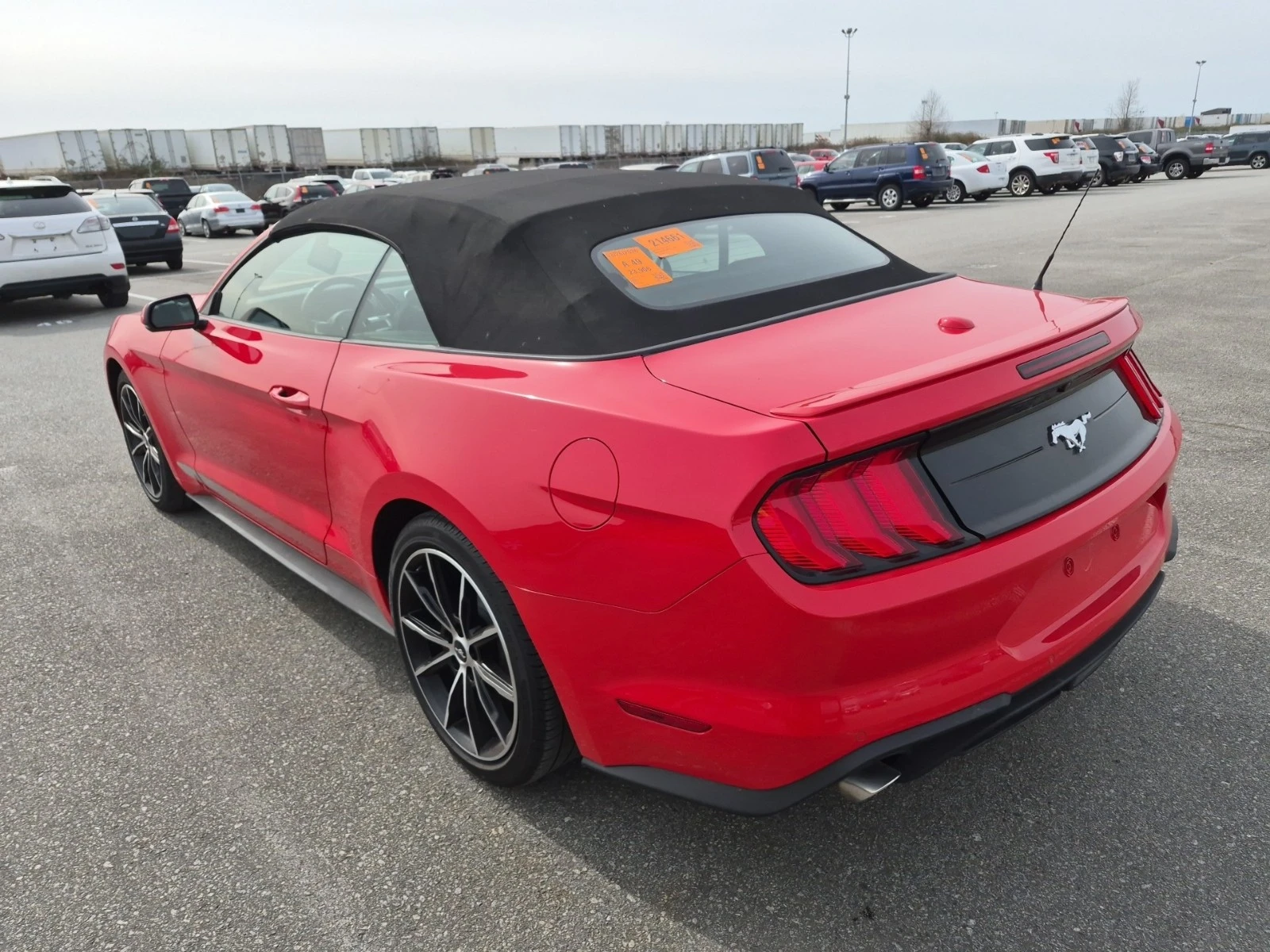 Ford Mustang 2.3L 4cyl Rear Wheel Drive, снимка 4 - Автомобили и джипове - 53978074