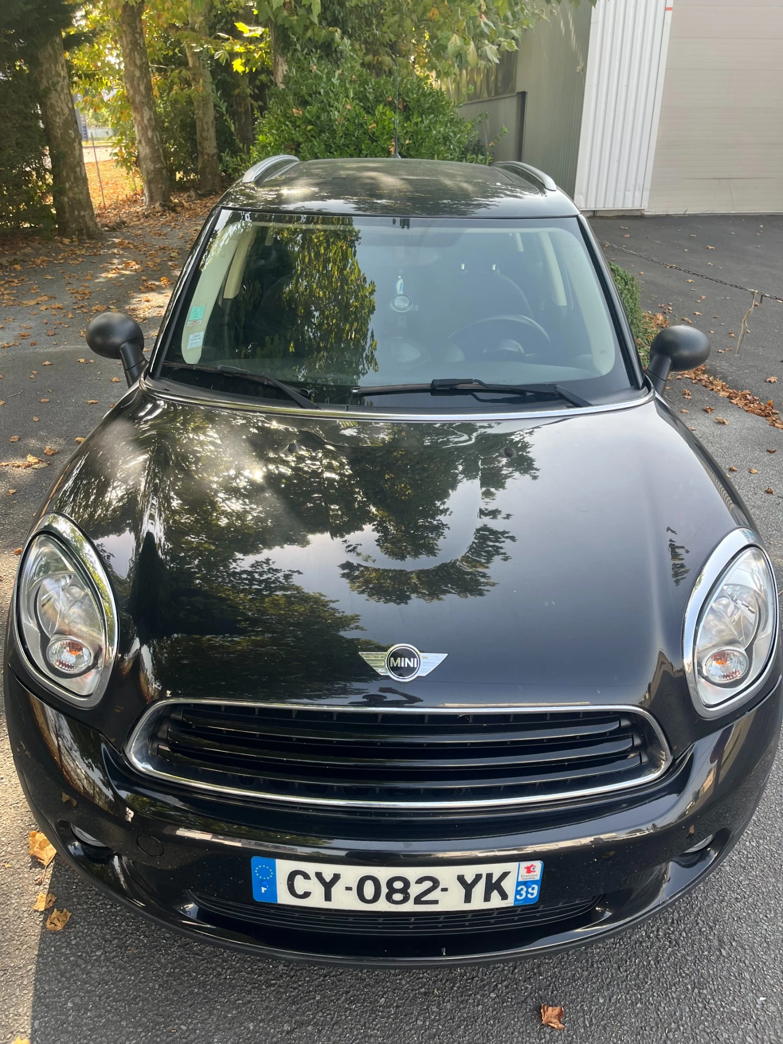 Mini Countryman, снимка 10 - Автомобили и джипове - 55010123
