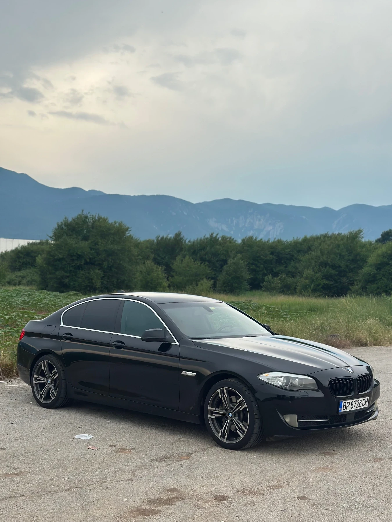 BMW 530 3.0 дизел - изображение 3