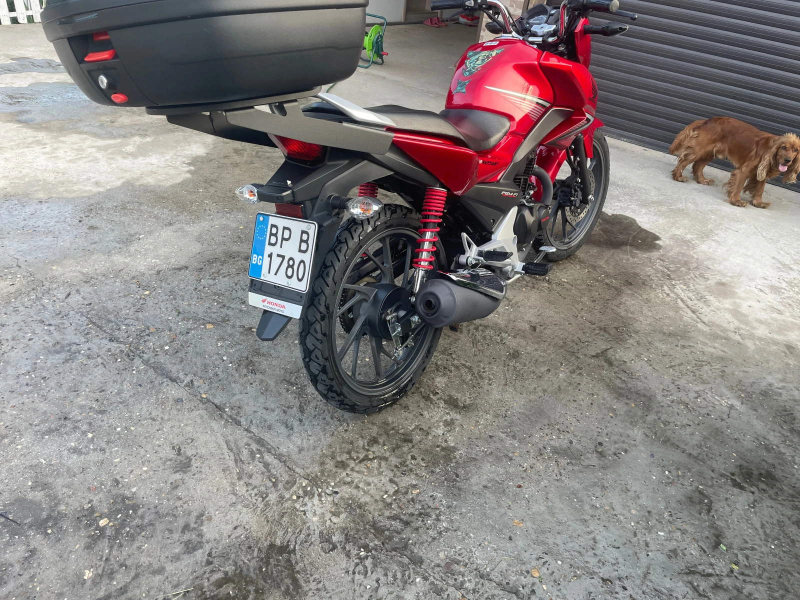 Honda Cbf | Mobile.bg   1