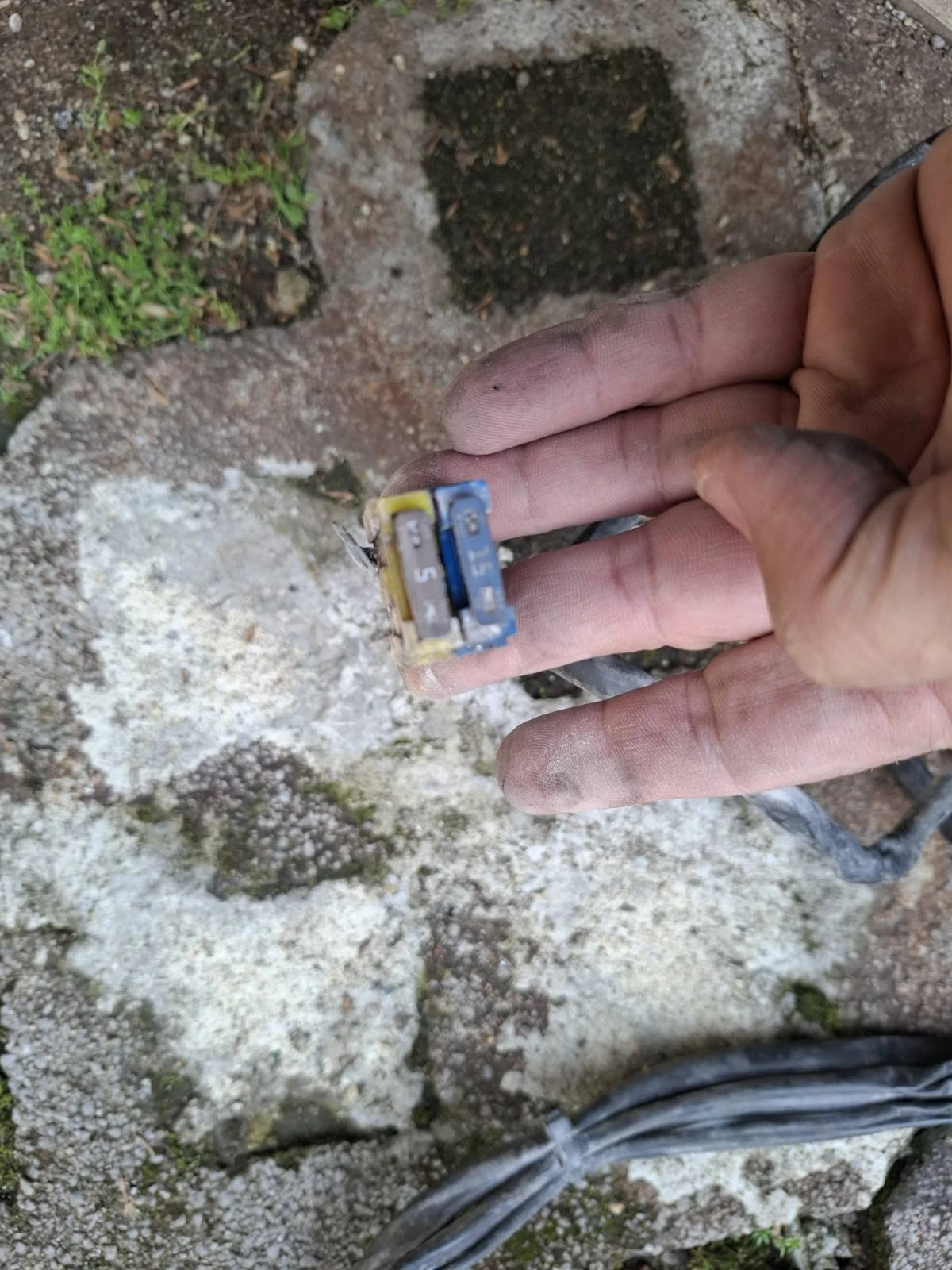  /  1    | Mobile.bg   2