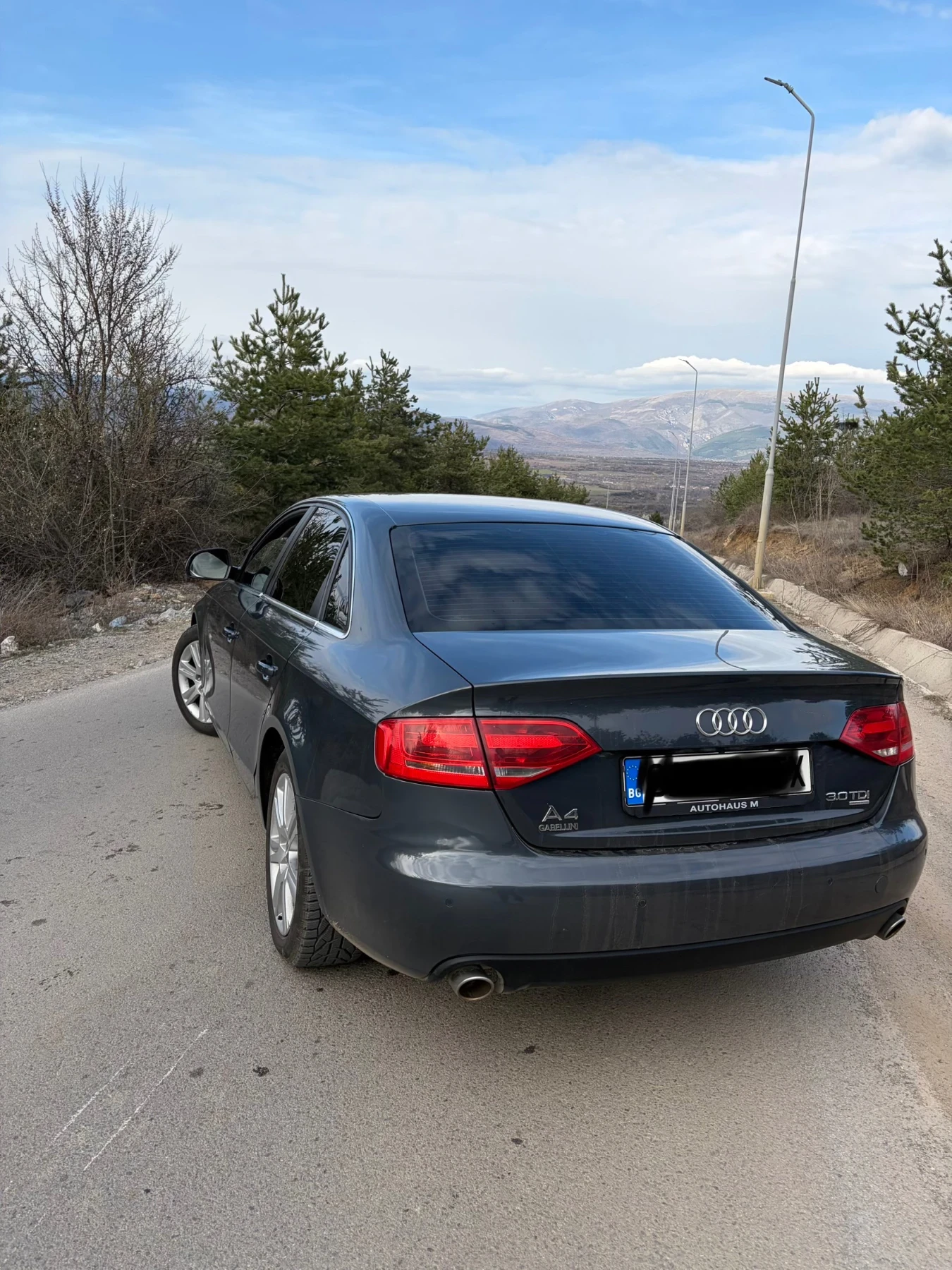 Audi A4 3.0TDI, снимка 2 - Автомобили и джипове - 53952383