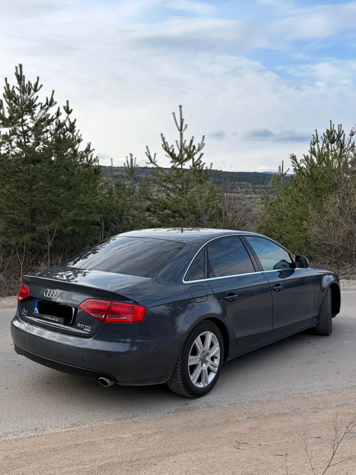 Audi A4 3.0TDI, снимка 4 - Автомобили и джипове - 53952383