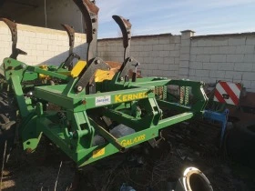 Друг вид Български, снимка 2