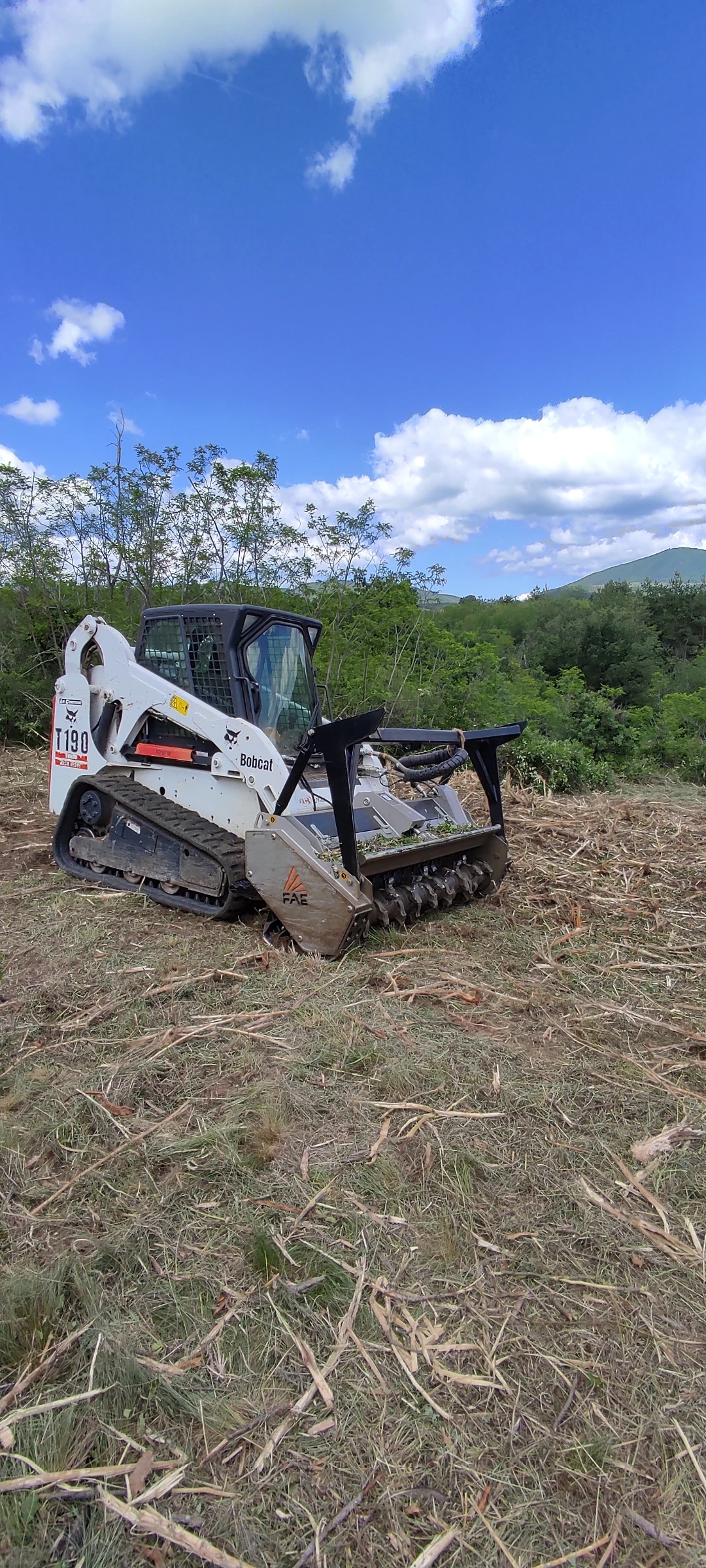 Мини челни товарачи Bobcat T190 с горски мулчер Fae