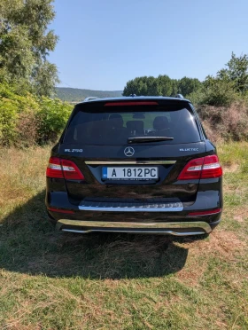 Mercedes-Benz ML 250, снимка 6