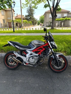     Suzuki Gladius
