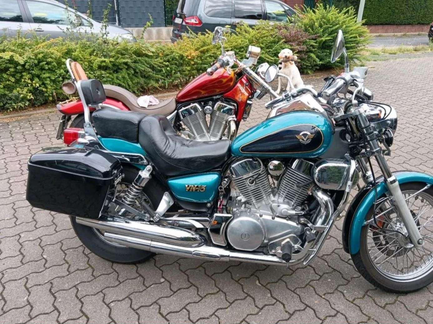 Kawasaki Vn