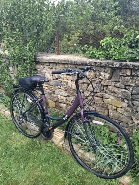 ������ ������� Apollo Elyse Woman's Hybrid Bike