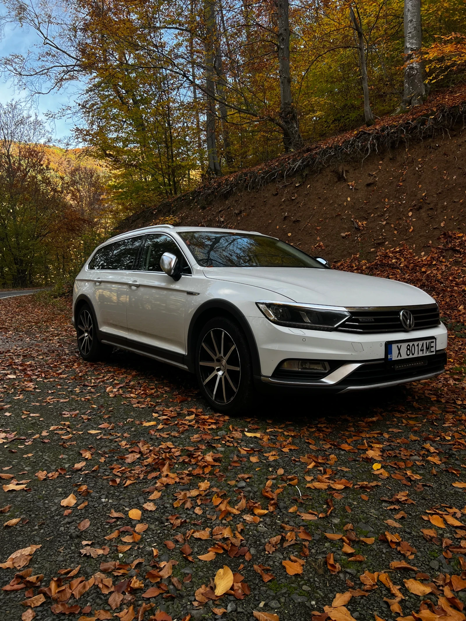 VW Alltrack 2000 TDI ALLTRACK 4X4 190 КС DSG, снимка 1