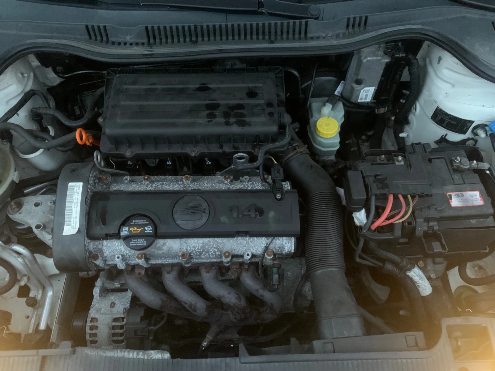 Seat Ibiza 1.4i | Mobile.bg   13