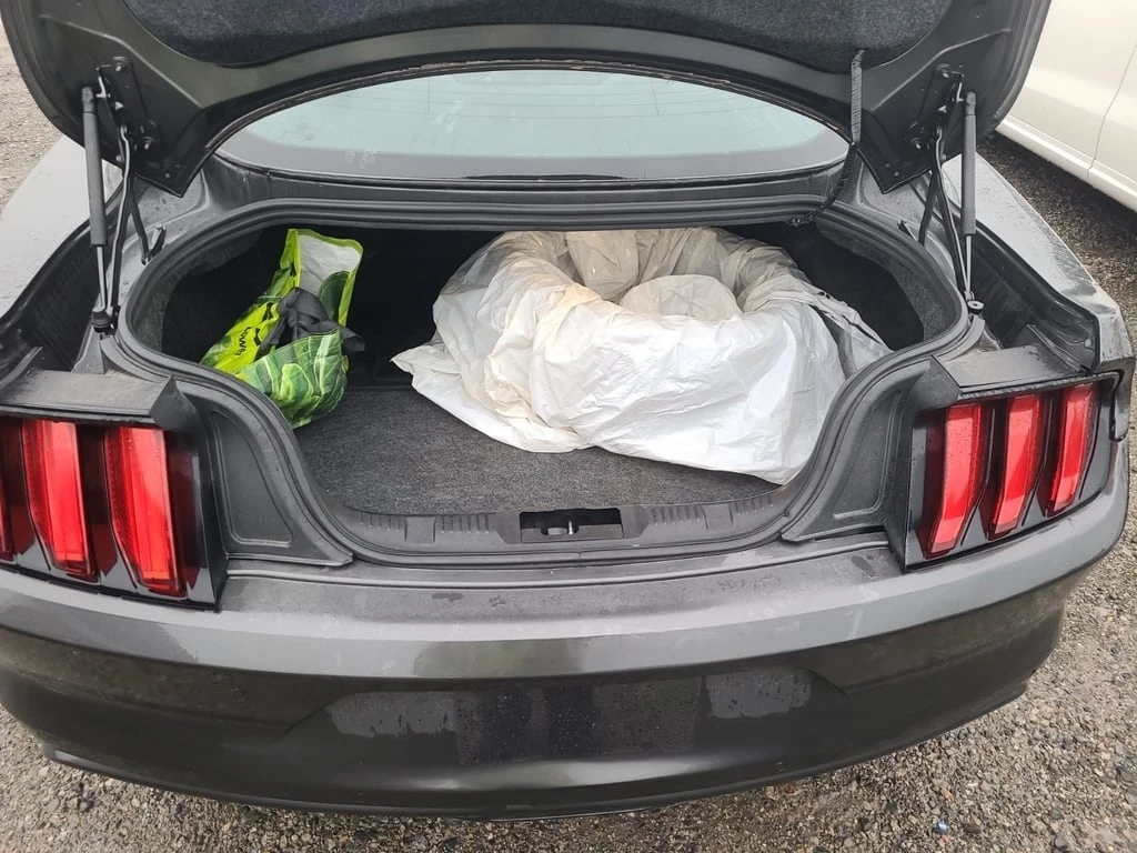 Ford Mustang * V6 * CARFAX * ��� ������������ ������ | Mobile.bg � ����������� 13