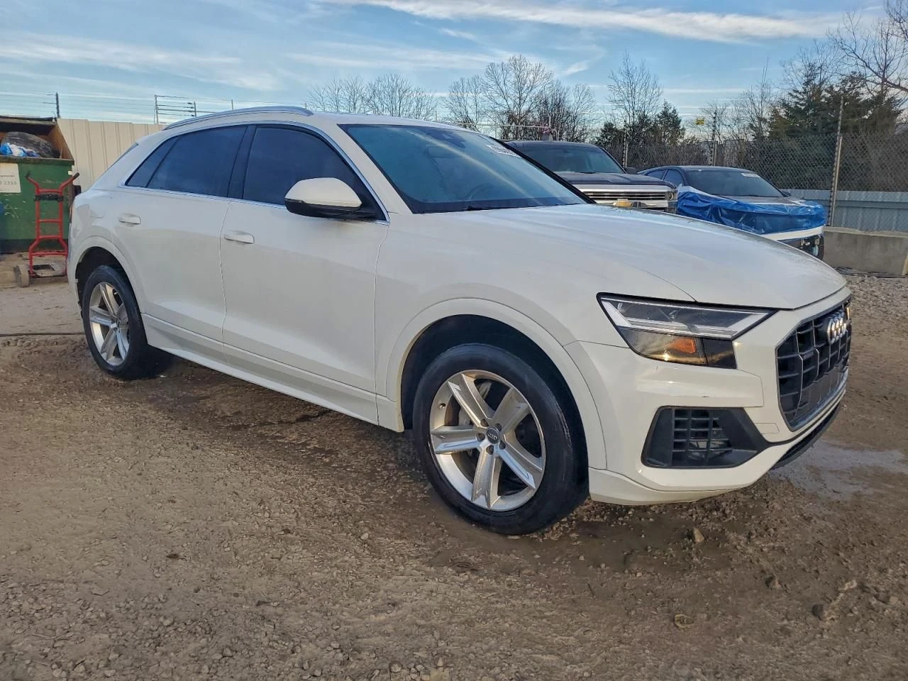 Audi Q8  - изображение 4