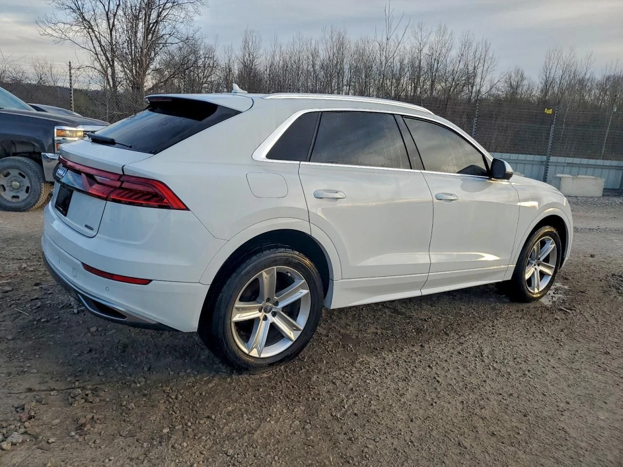 Audi Q8  - изображение 3