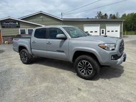 ������ Toyota Tacoma