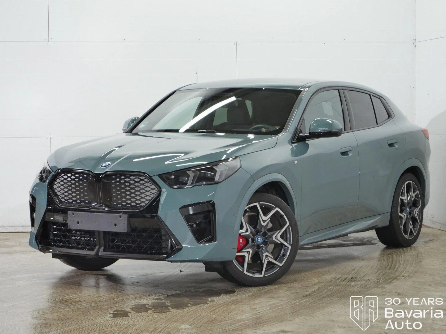 BMW iX2 30 xDrive M Sport Paket, снимка 1