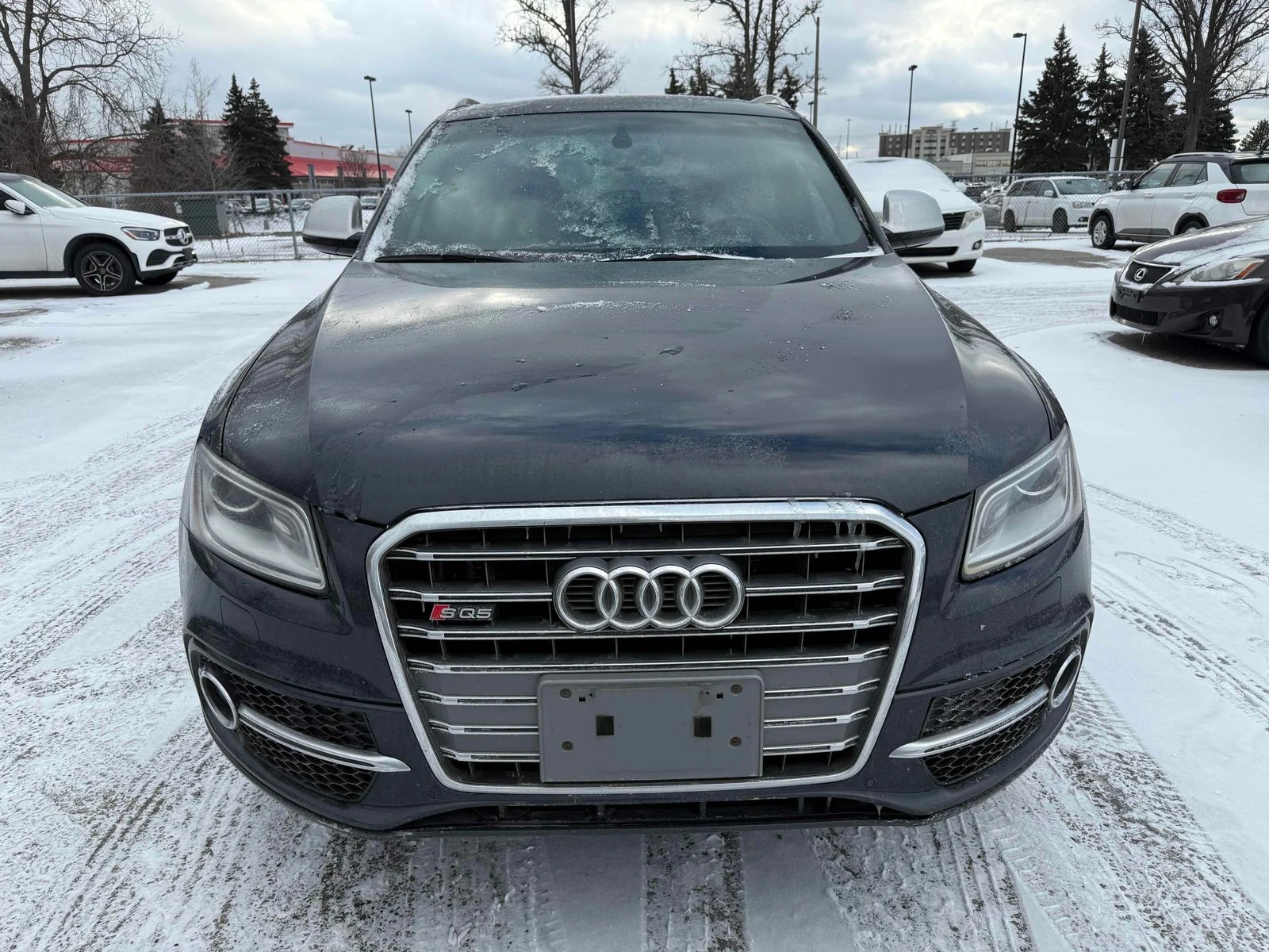 Audi SQ5 TECHNIK CARFAX АВТО КРЕДИТ  - изображение 3