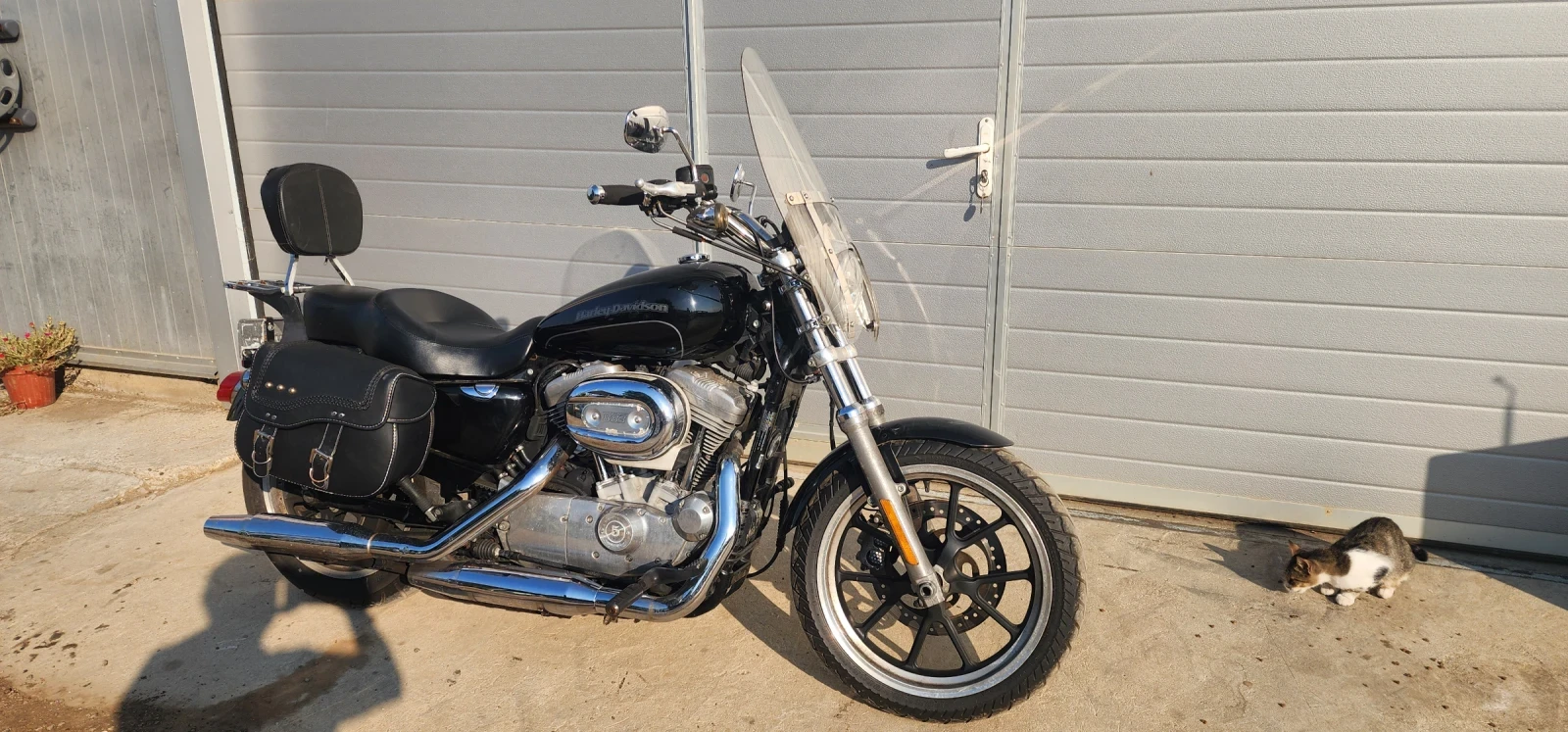Harley-Davidson Sportster 883 - изображение 10