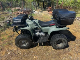 Honda Trx, снимка 3
