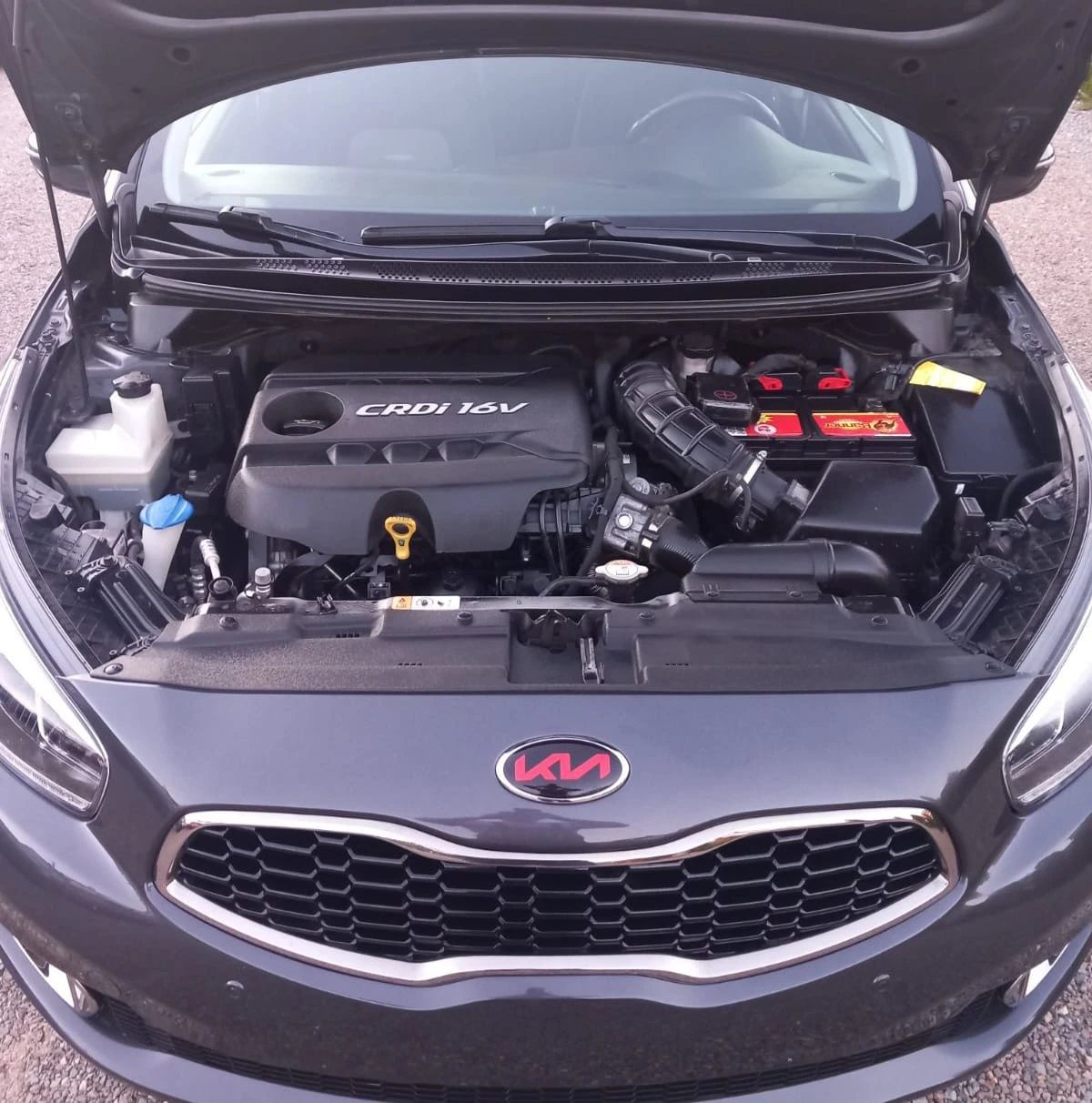 Kia Ceed 1.4CRDi-90HP EURO5 - изображение 9