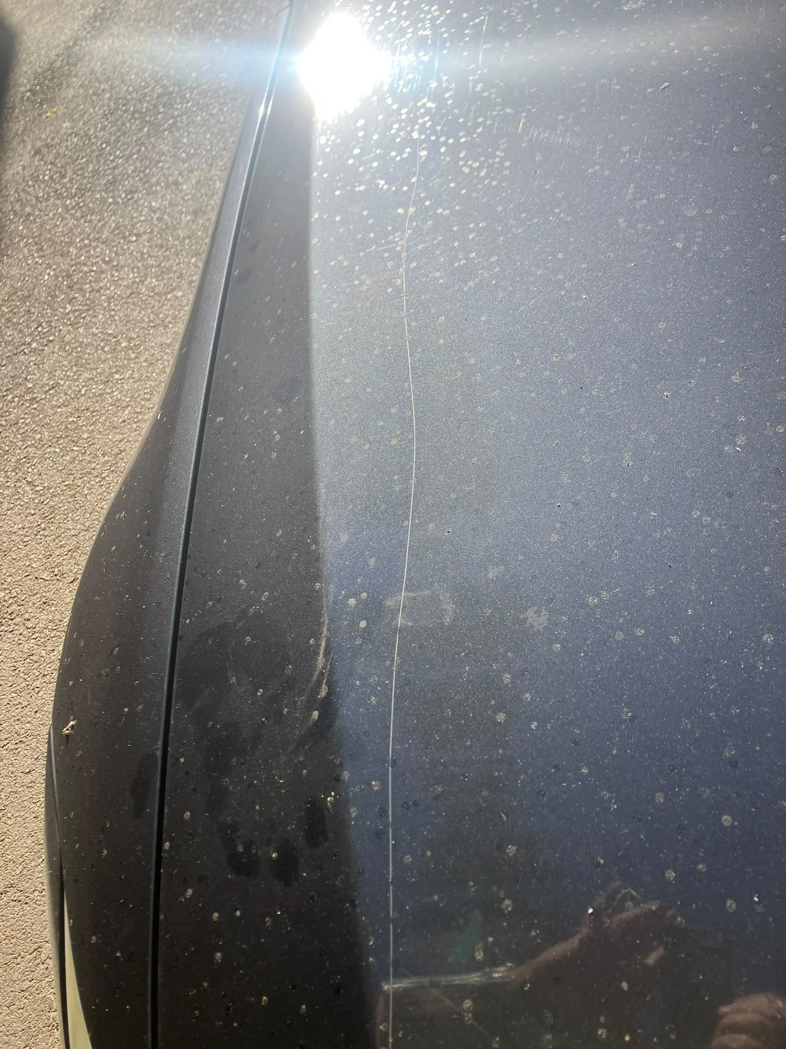 BMW 320, снимка 11 - Автомобили и джипове - 55479333