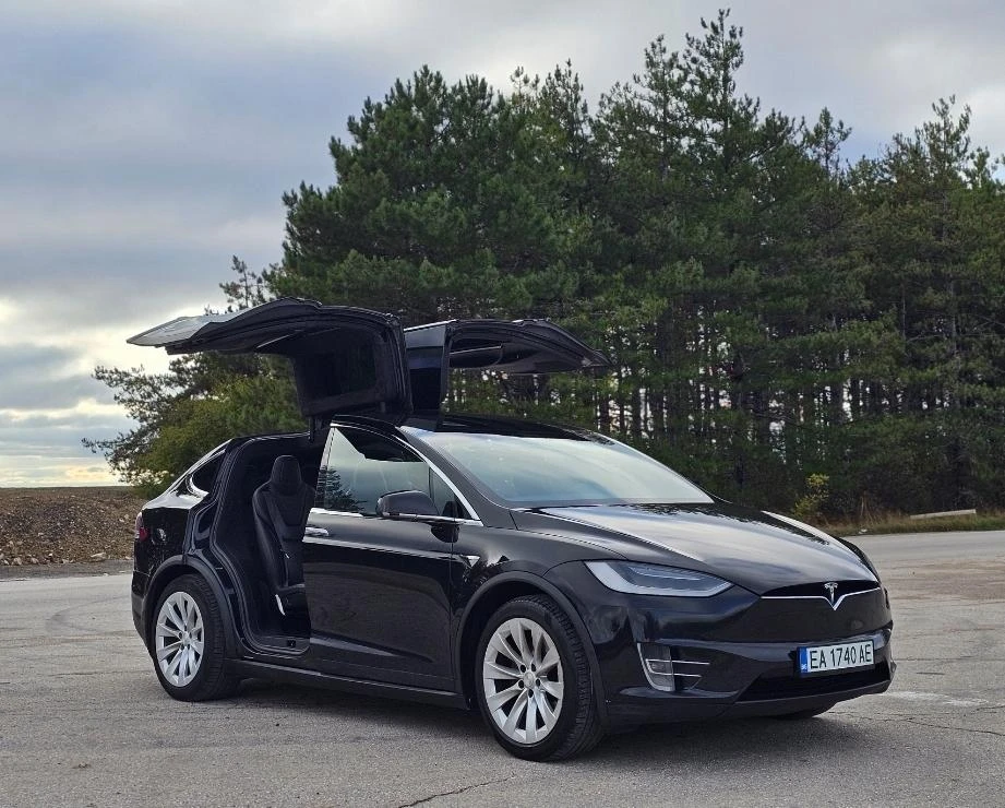 Tesla Model X X100D в Гаранция - изображение 8