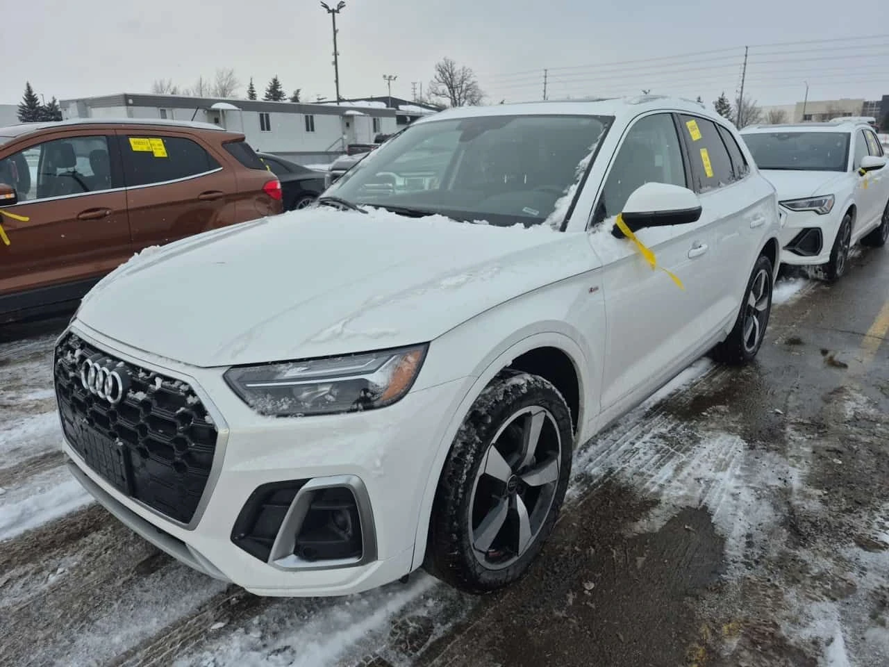 Audi Q5 PROGRESSIV* �����* ��������* �������� * CARFAX *  | Mobile.bg � ����������� 1