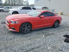 ������ Ford Mustang