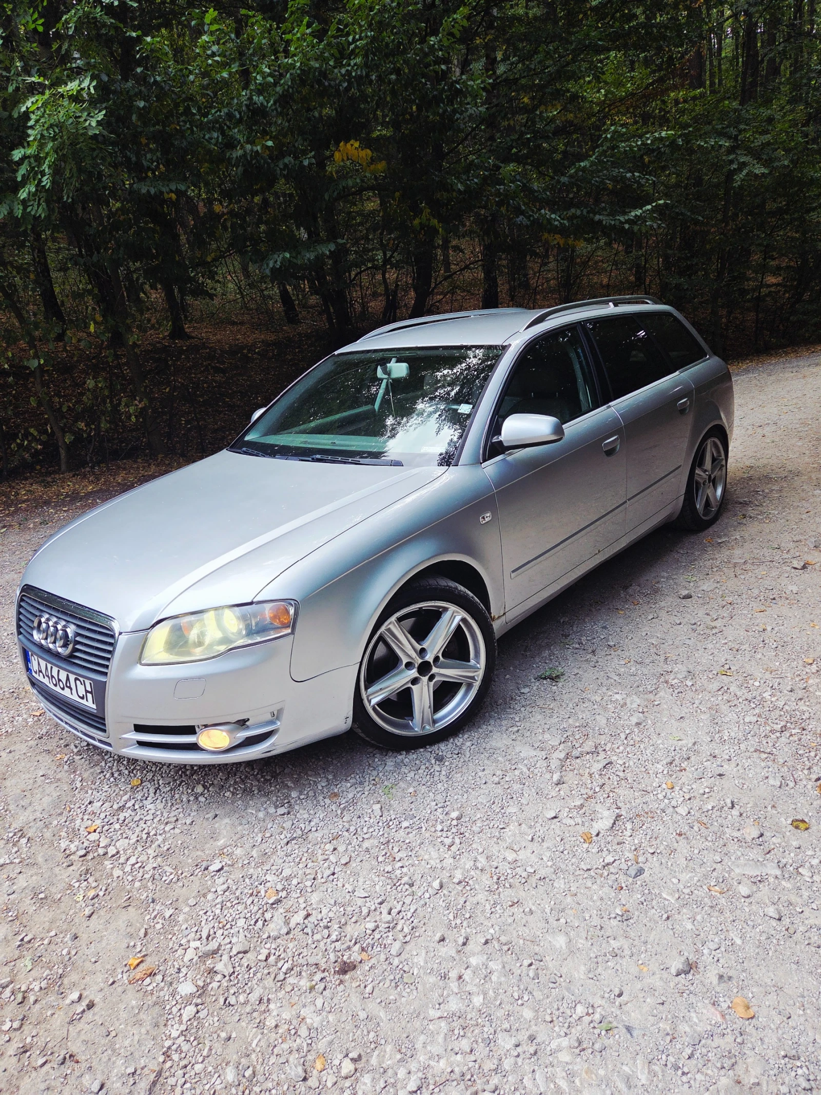 Audi A4 3.0TDI Quattro, снимка 1