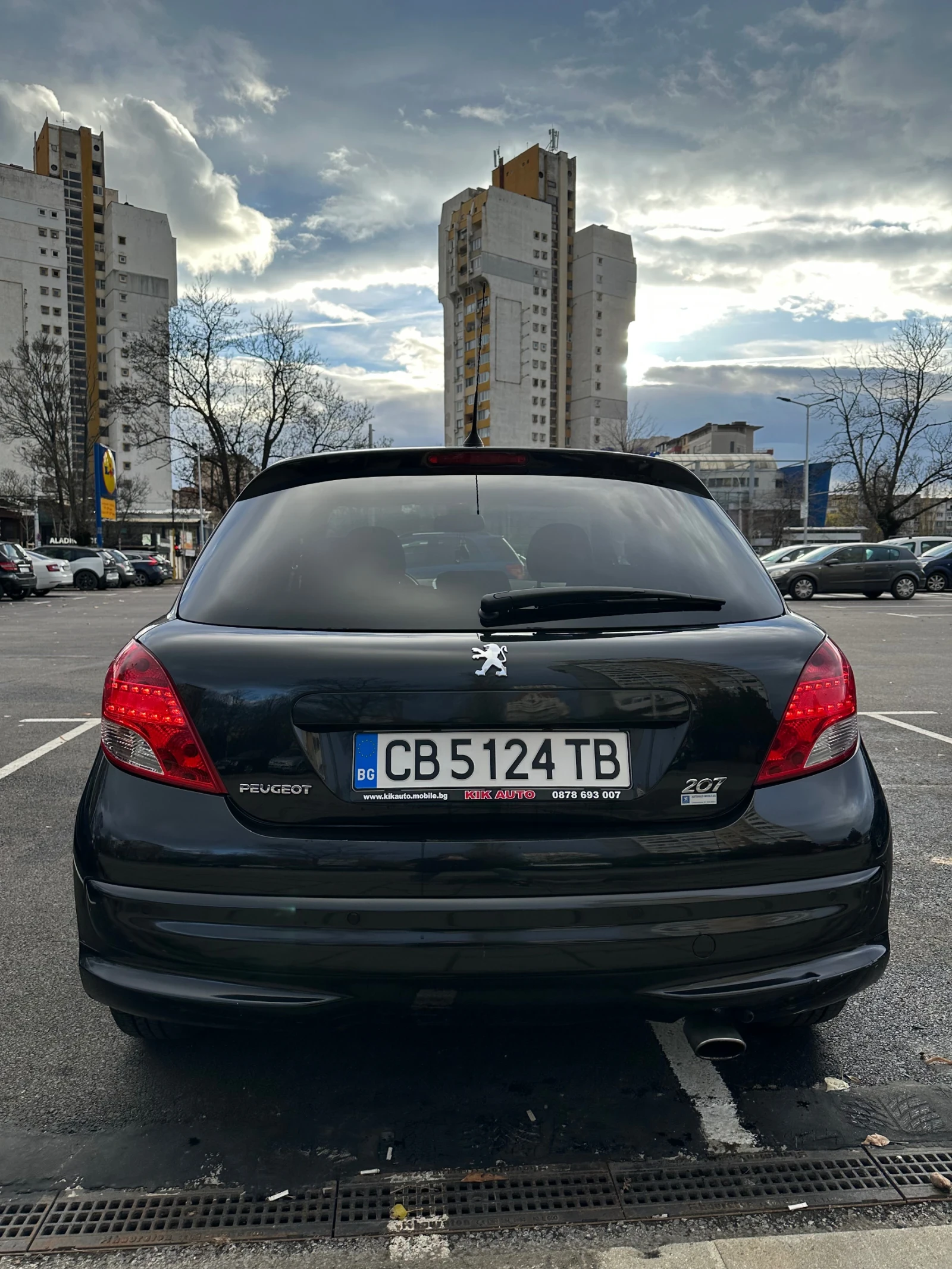 Peugeot 207 Lion edition - изображение 6