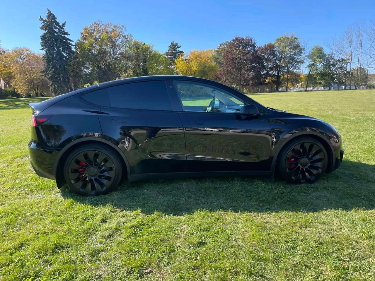 Tesla Model Y Performance * ���������� ��� ������������ ������*  | Mobile.bg � ����������� 3