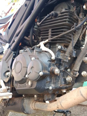 Benelli 125 | Mobile.bg    10