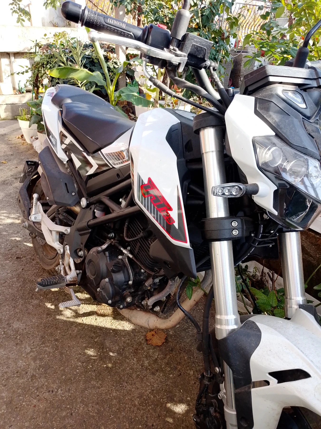 Benelli 125 | Mobile.bg   5