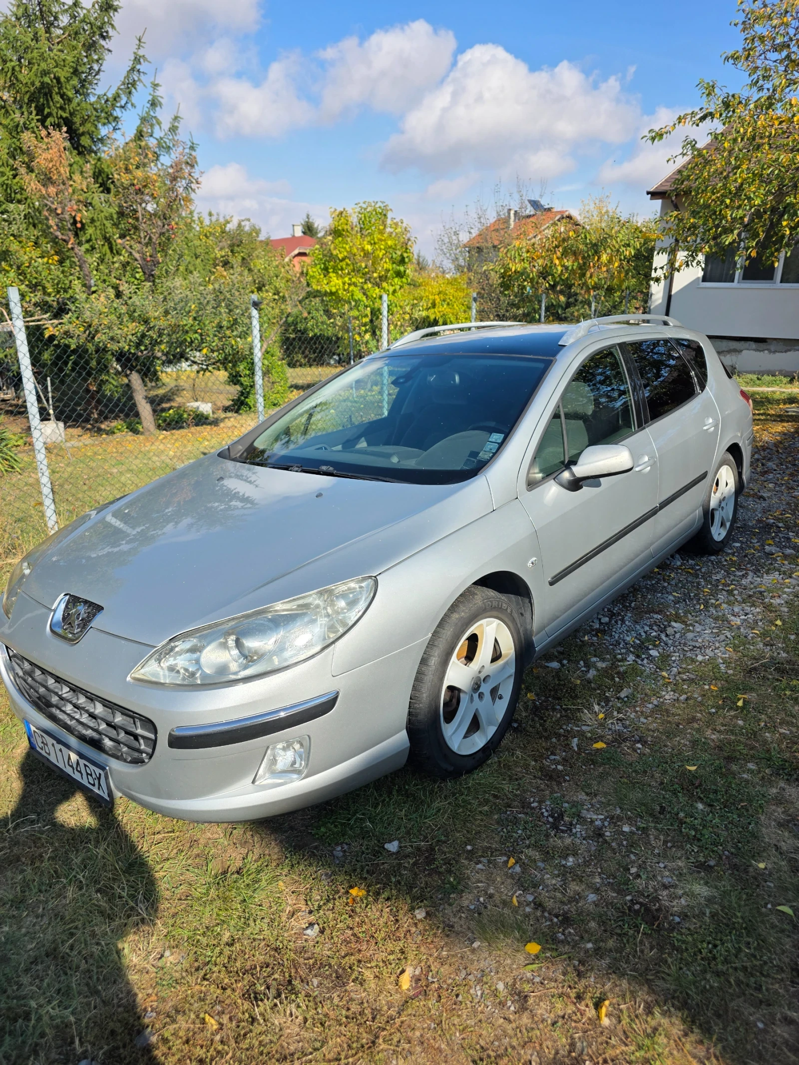Peugeot 407 SW, снимка 3 - Автомобили и джипове - 56320184
