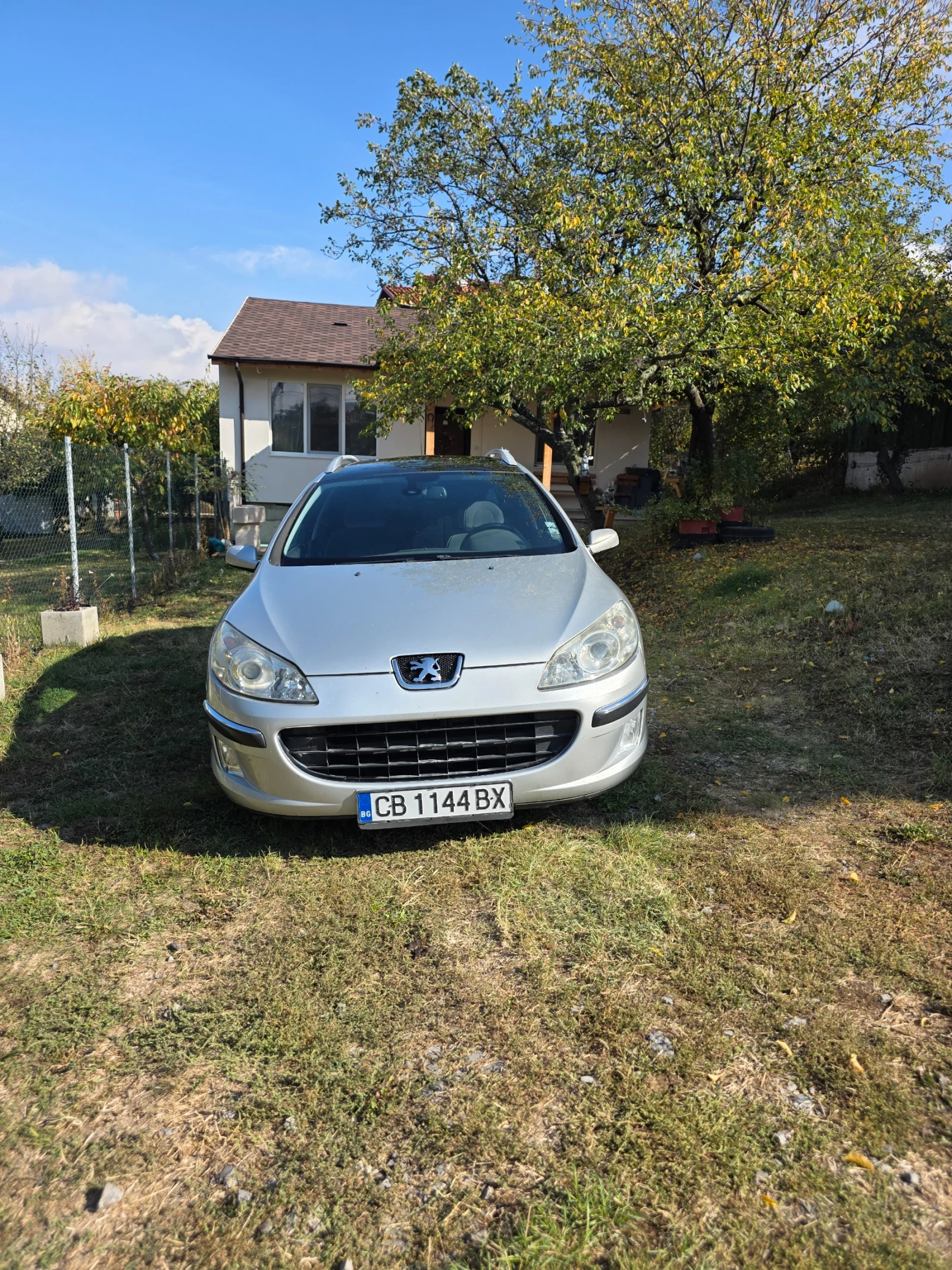 Peugeot 407 SW
