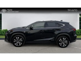 Lexus NX AWD F-SPORT - 33690 € / 65891.91 лв. - 95043613 3