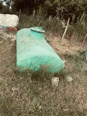 Друг вид Български, снимка 1