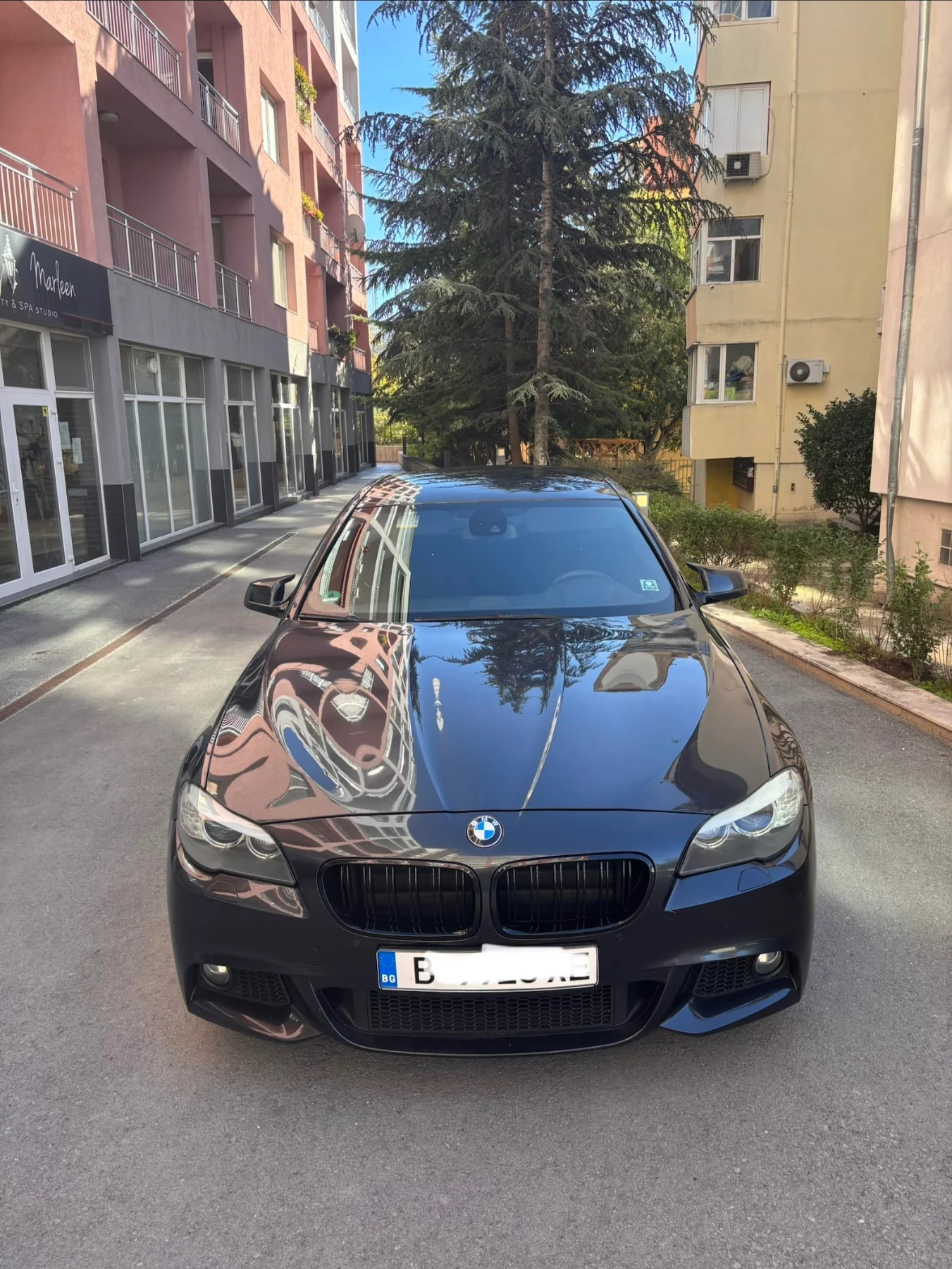 BMW 525 3.0 N57 - изображение 2
