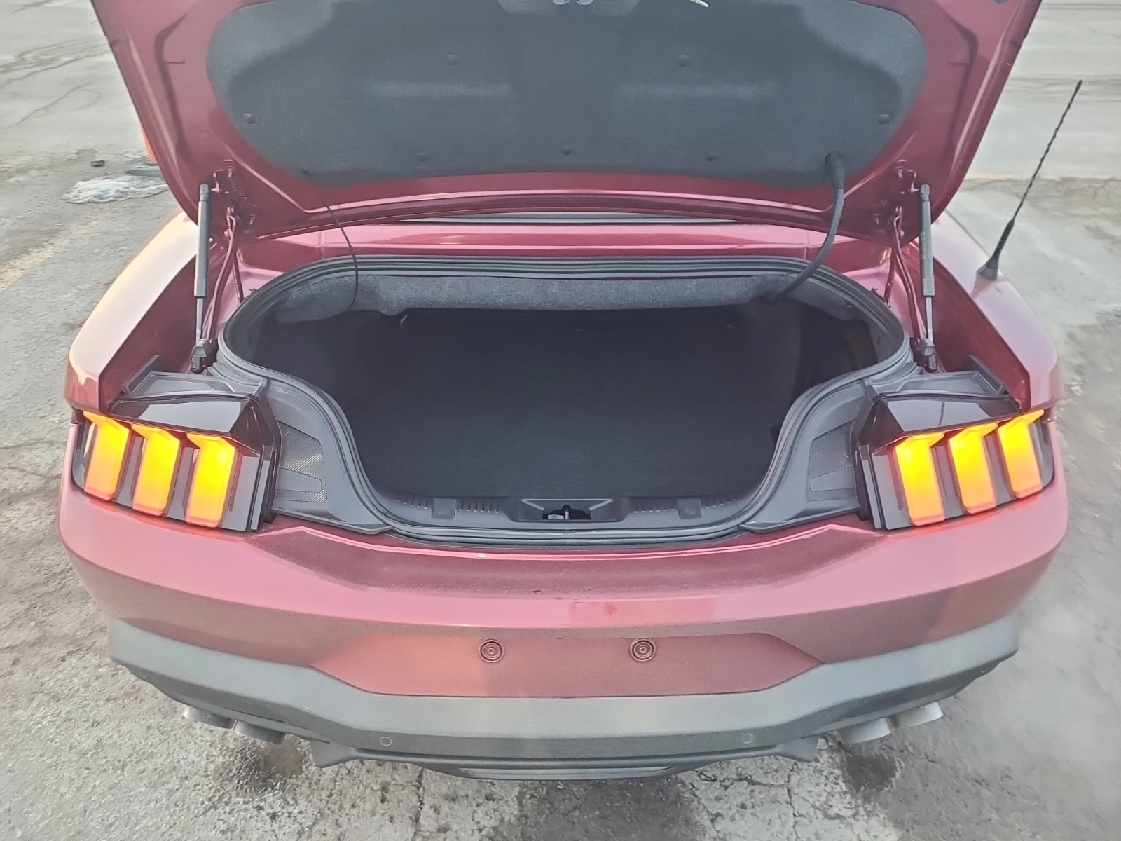 Ford Mustang 5L 8cyl Rear Wheel Drive, снимка 13 - Автомобили и джипове - 53739386