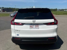 Honda Cr-v * AWD * ���������� ��� ������������ ������*  | Mobile.bg � ����� ������ 4