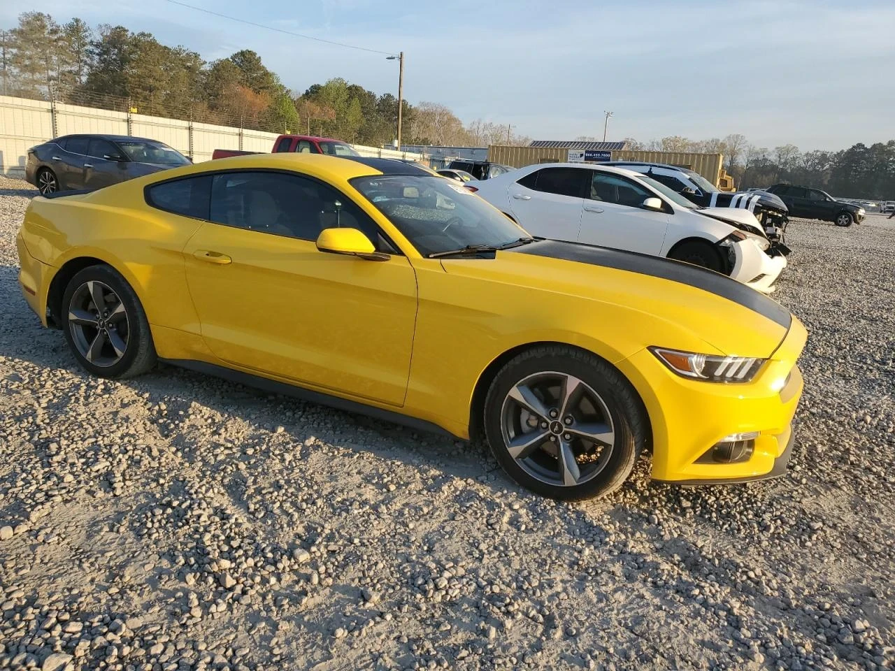 Ford Mustang  - изображение 3