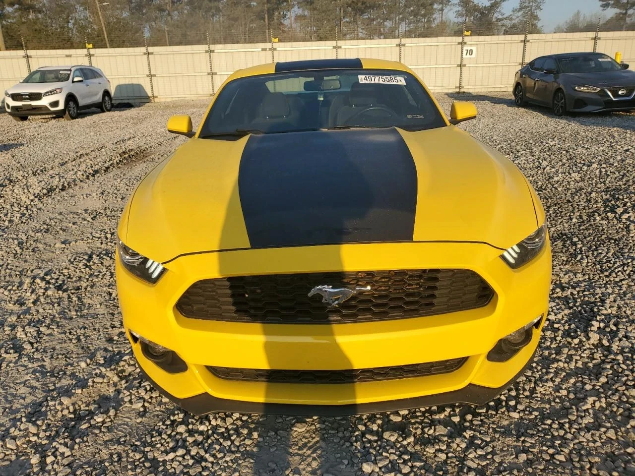 Ford Mustang  - изображение 2