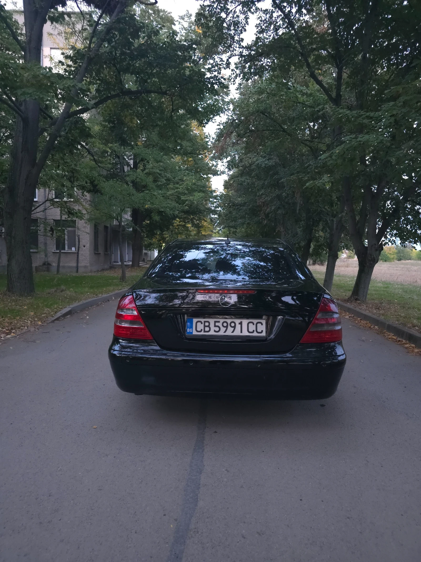 Mercedes-Benz E 220 Classic - изображение 7