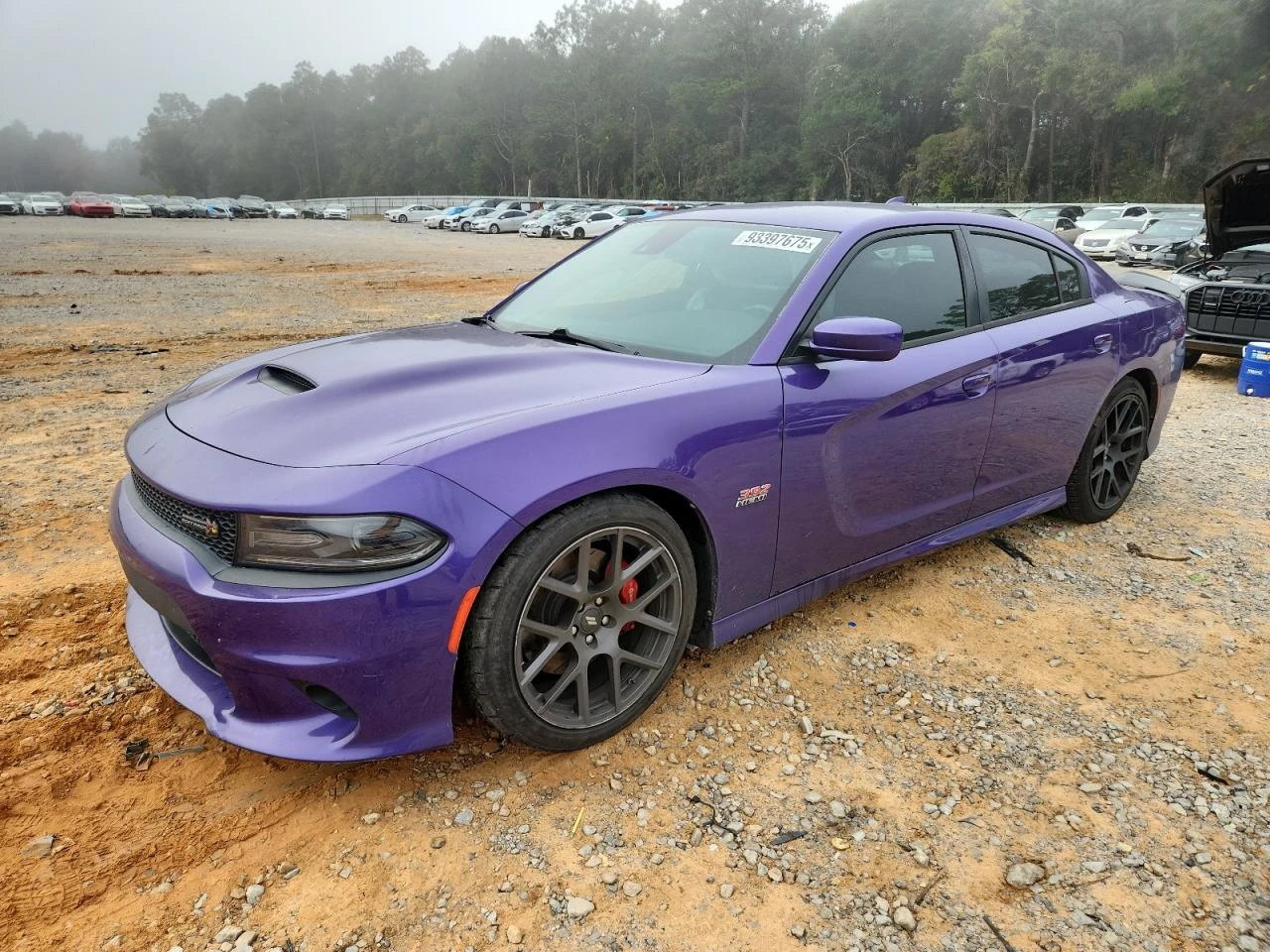 Dodge Charger 6.4l Scat Pack RWD | Mobile.bg � ����������� 1