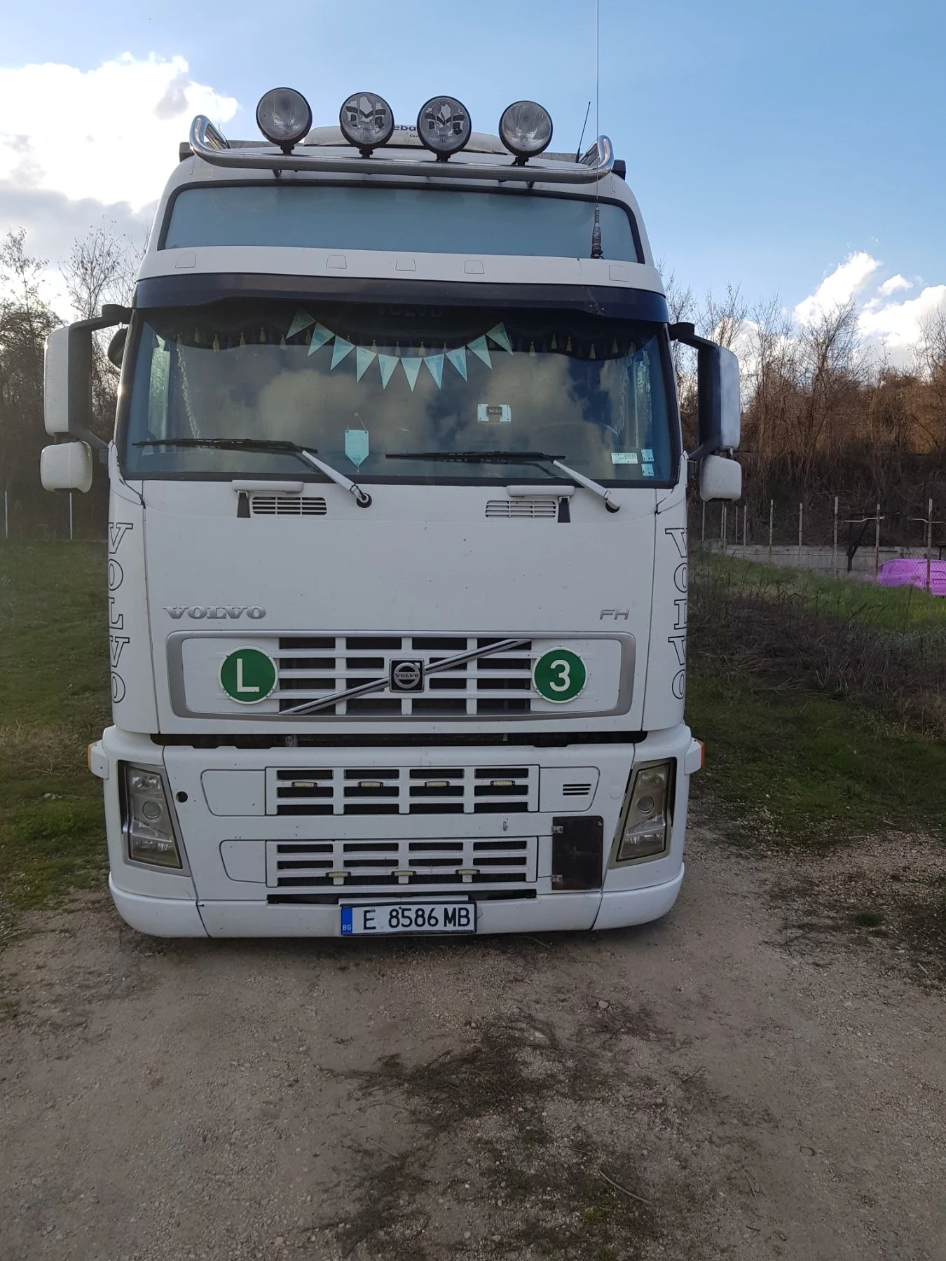 Volvo F12