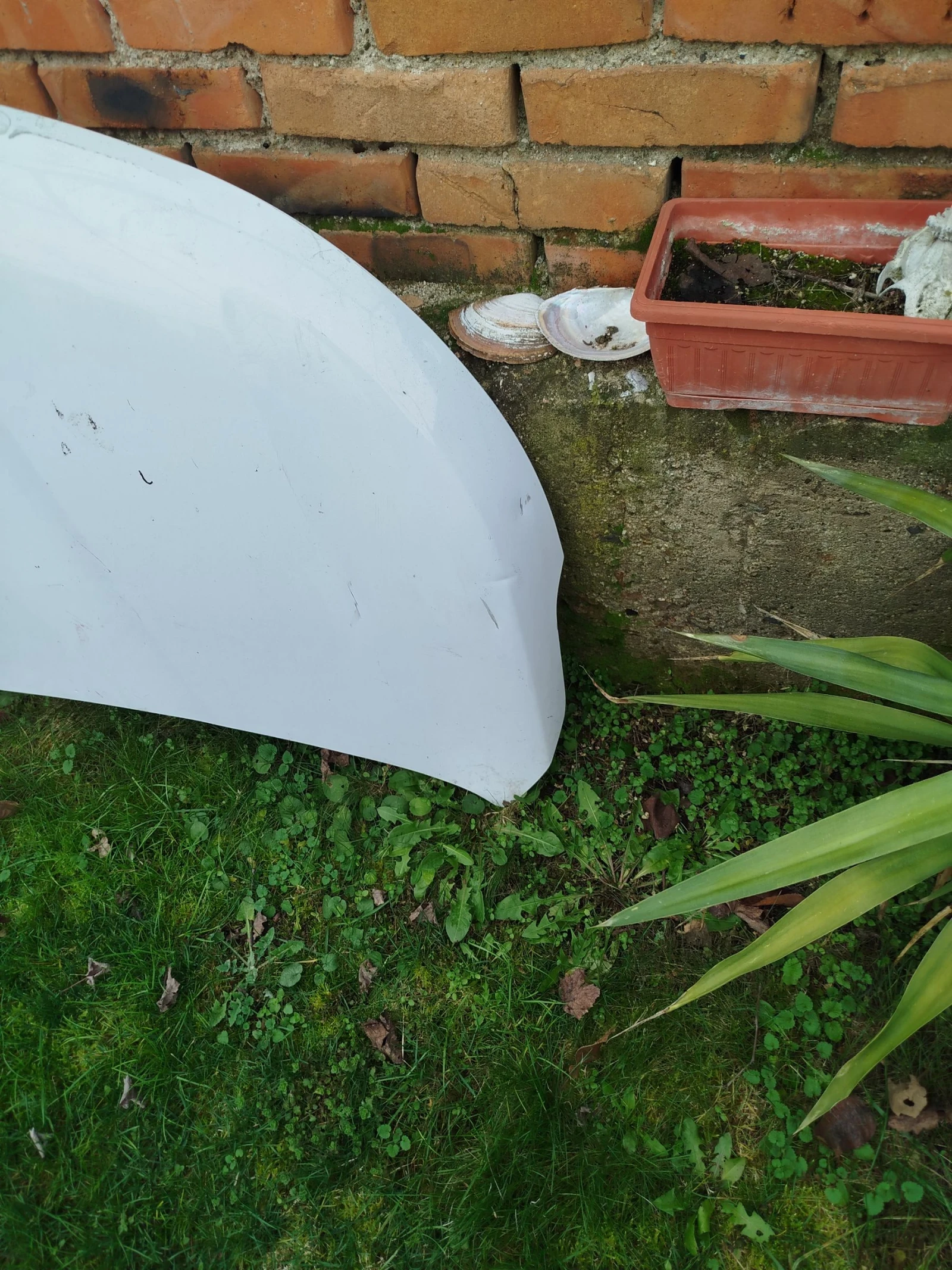 ������ ����� ���� ����� ���� 2020� | Mobile.bg � ����������� 2