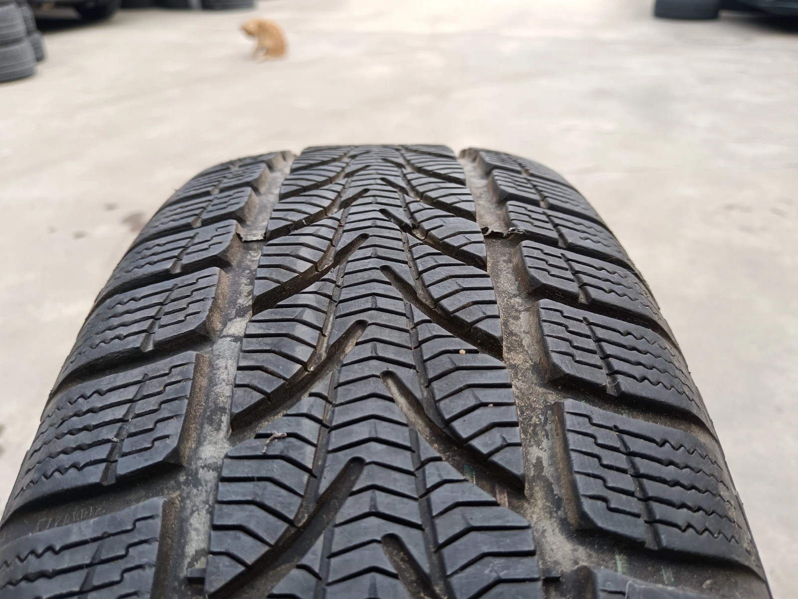  205/60R16 | Mobile.bg   11