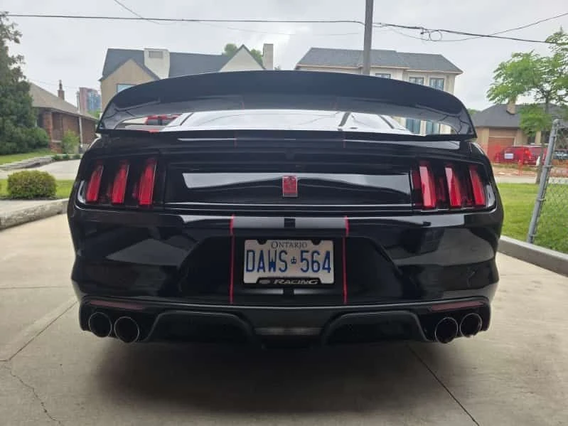 Ford Mustang * Shelby * CARFAX * РЪЧНИ СКОРОСТИ * , снимка 4 - Автомобили и джипове - 55058304