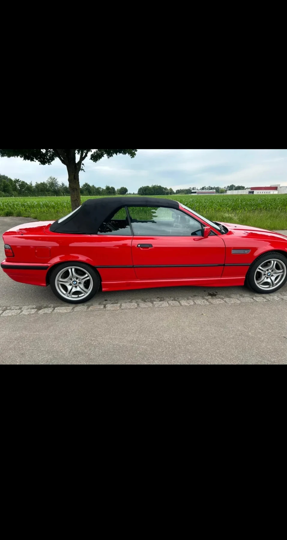 BMW 318  - изображение 4