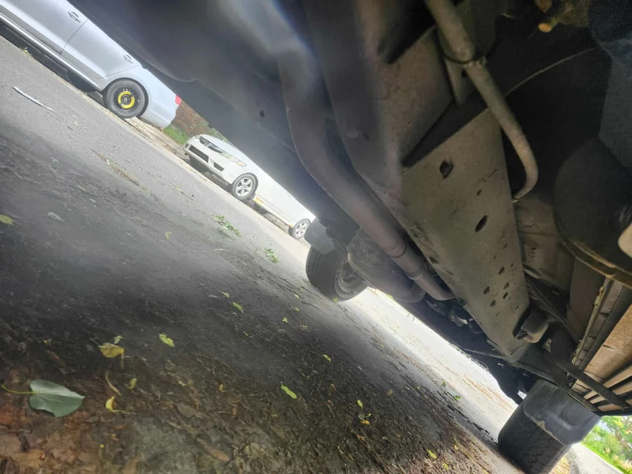 Toyota Tacoma * 4WD Double Cab V6* ���������� ��� ������������*  | Mobile.bg � ����������� 12